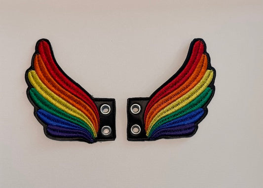 Rainbow Shoe Wings